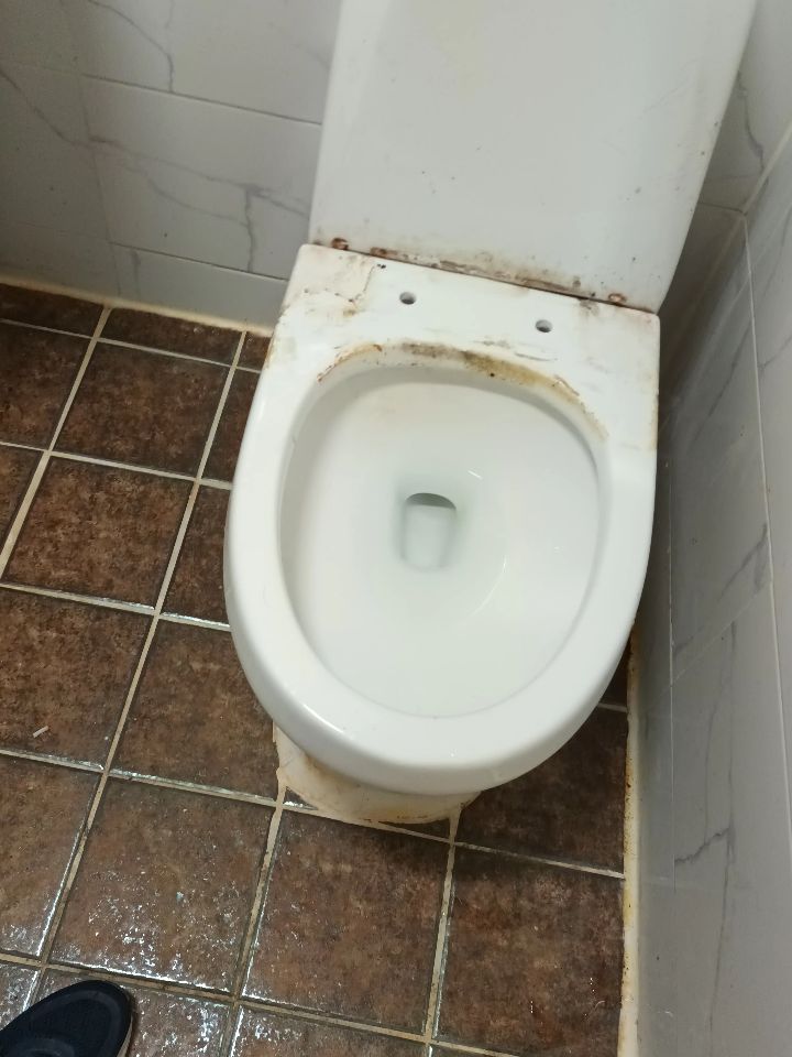 입주24 화장실 변기 청소 전